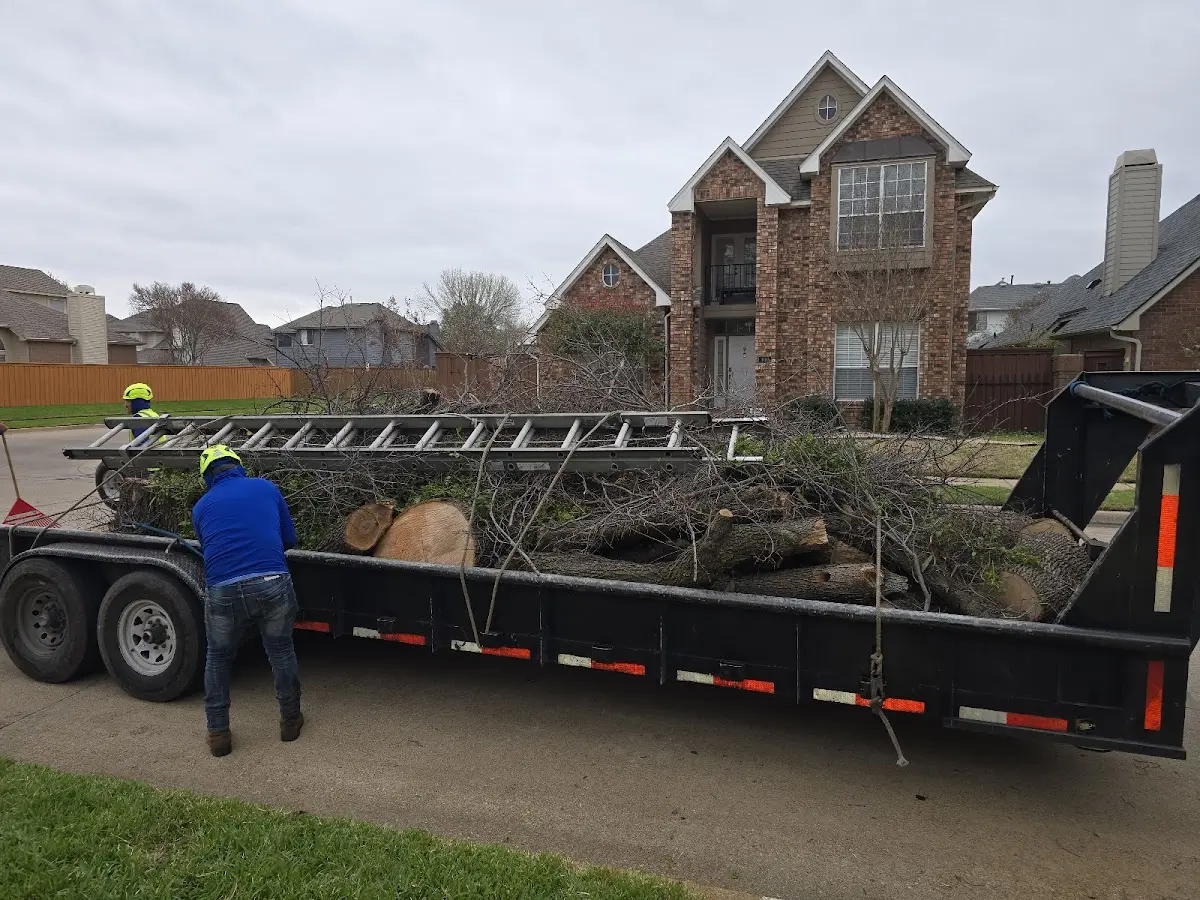 Expert Deadwooding with proper safety equipment in Fort Mill